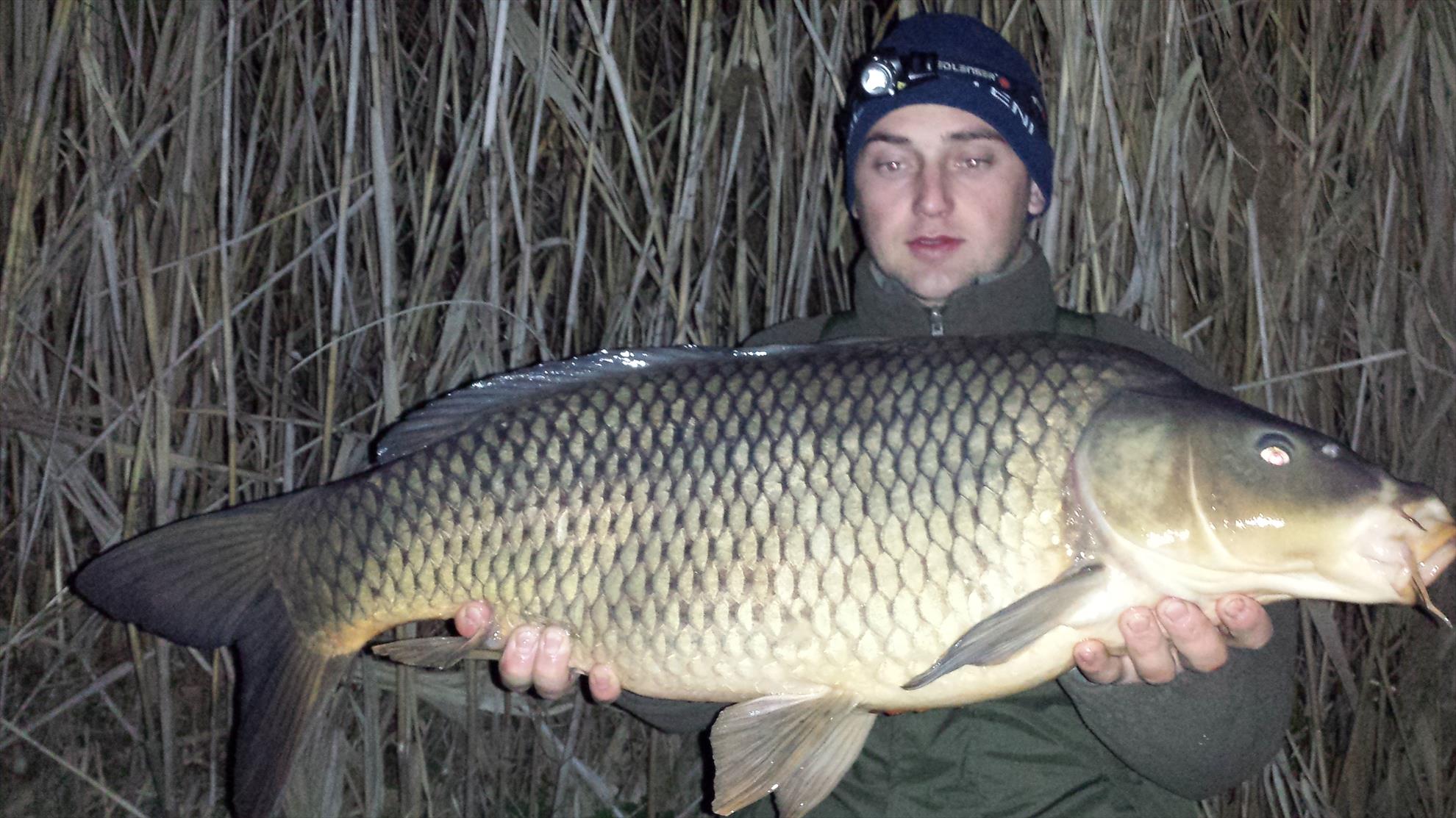 Tancabesti 14 - 16 mar. - 2014-03-15-2059431.jpg